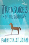 Picture of Treasures of the Snow: a teenage novel