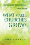 Picture of What makes churches grow?: Vision and practice in effective mission
