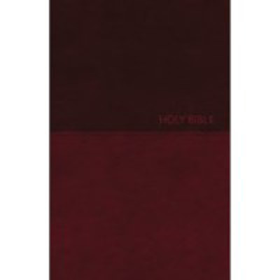 Picture of NKJV Value Thinline Bible, Burgundy, Large Print