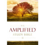 Picture of Amplified Study Bible - hardback edition