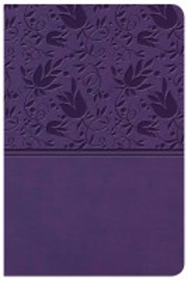 Picture of KJV Large Print Compact Reference Bible (Purple)