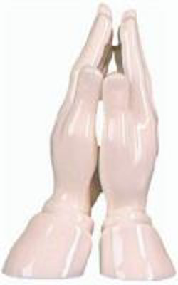 Picture of Porcelain Praying Hands 6.5 inches