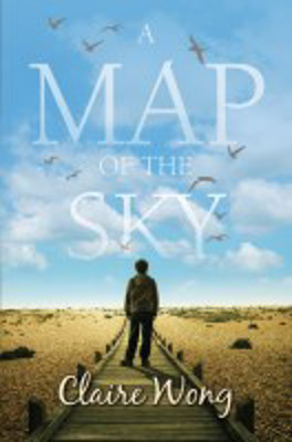 Picture of A Map of the Sky: A Novel