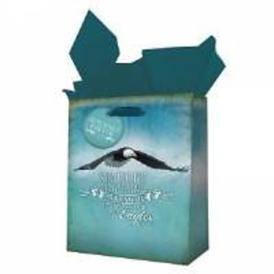 Picture of Gift Bag: Eagles (small)