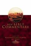 Picture of New Bible Commentary