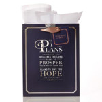 Picture of Gift Bag: For I Know the Plans (Medium)