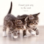 Picture of Wall Art small square: Commit your way (cats design)