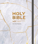 Picture of NIV Journalling Bible