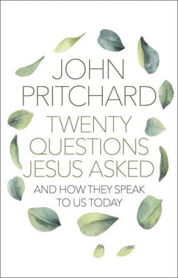 Picture of Twenty Questions Jesus asked