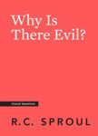 Picture of Why is There Evil?