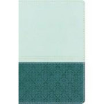 Picture of NIV Study Bible Teal/Blue Personal Size