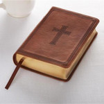 Picture of KJV Bible Large Print Compact: Tan